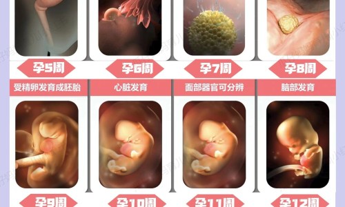 【天气热身上长痘痘是什么原因】天气热身上痒怎么回事 - 天气热身上长小水泡网